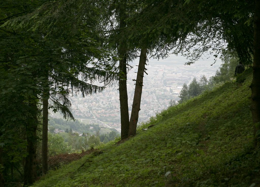 Image module